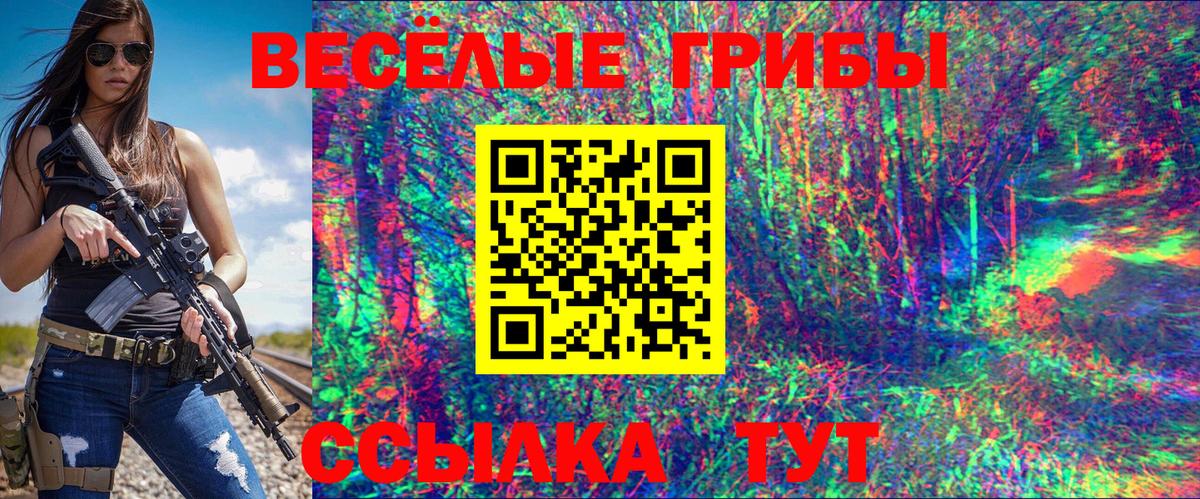 Псилоцибиновые грибы прущие грибы Калуга
