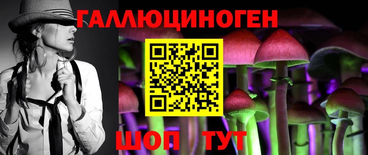 Калуга  Галлюциногенные грибы Cubensis  Вход с VPN  Псилоцибиновые грибы Psilocybine cubensis 